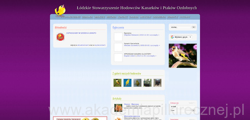 project-img