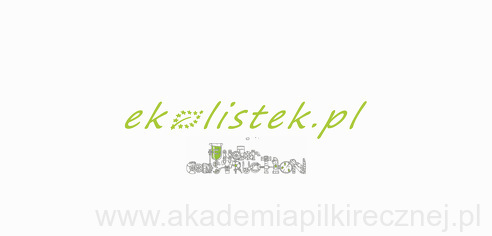 project-img
