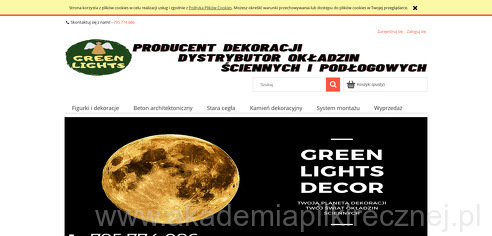 project-img