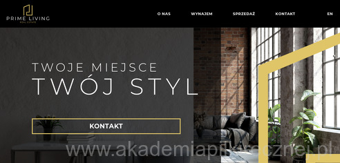project-img