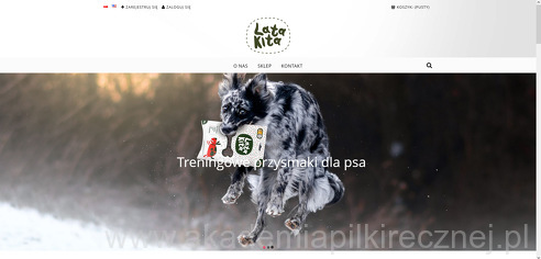 project-img