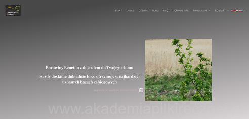 project-img