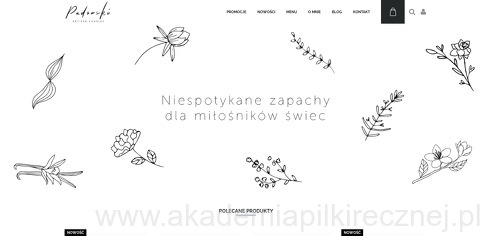 project-img