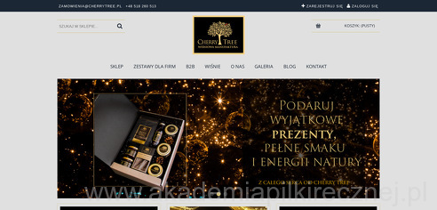 project-img