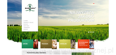 project-img