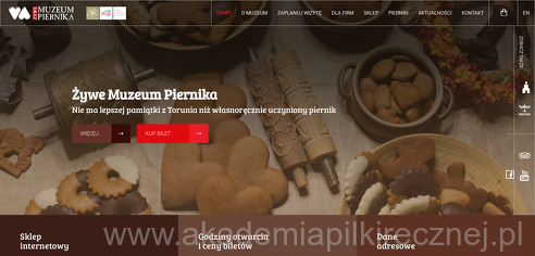 project-img