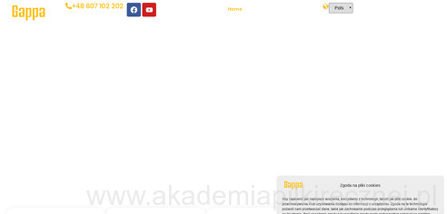 project-img