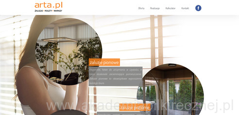 project-img