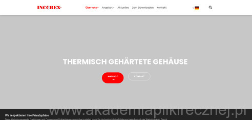 project-img