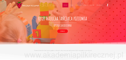 project-img